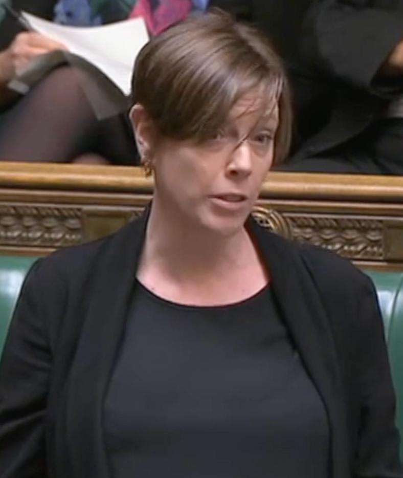 Jess in parliament speaking on the child social care review